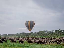 great migration balloon Perfect Short Getaways safari tour