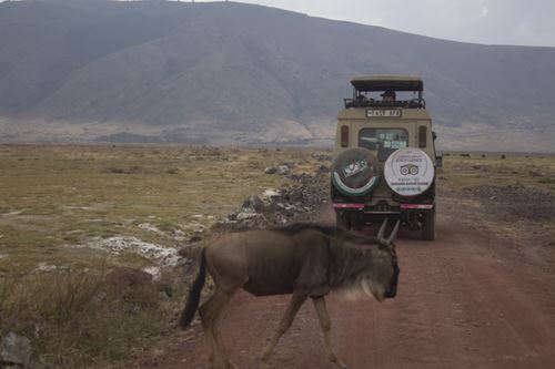 africa tour safari radar