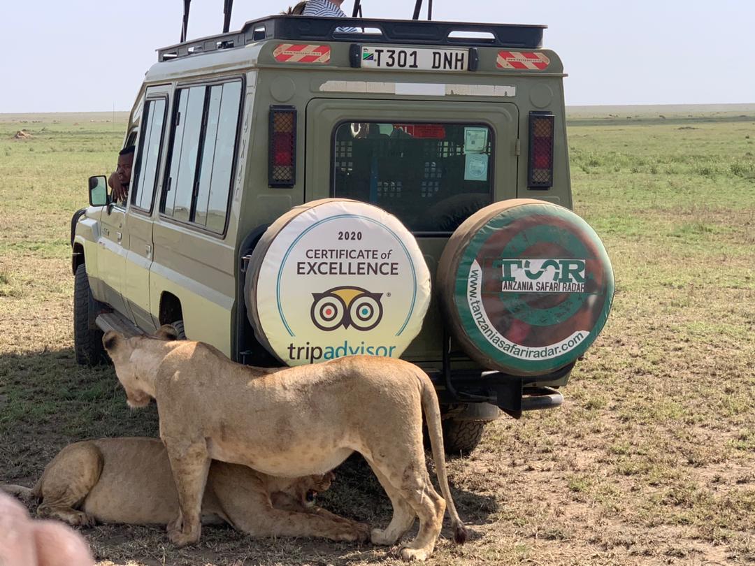 Serengeti national park migration safaris