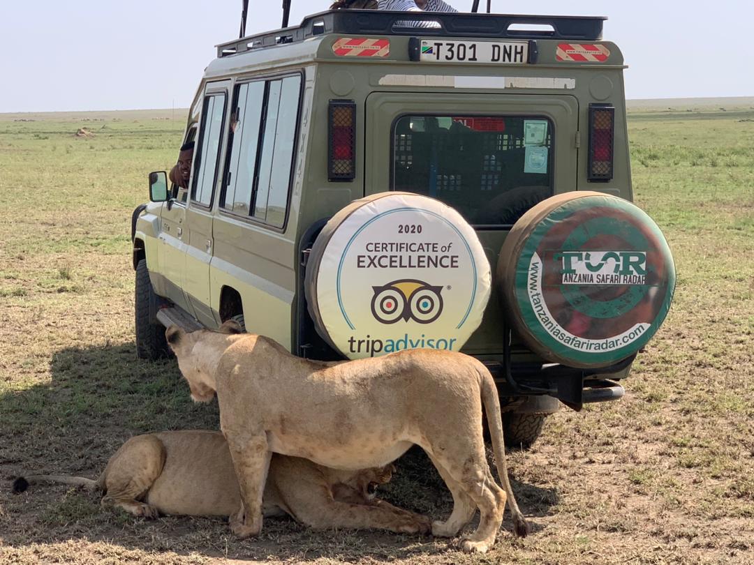 Jinja – The Adventure Capital & Source of the Nile safari tour