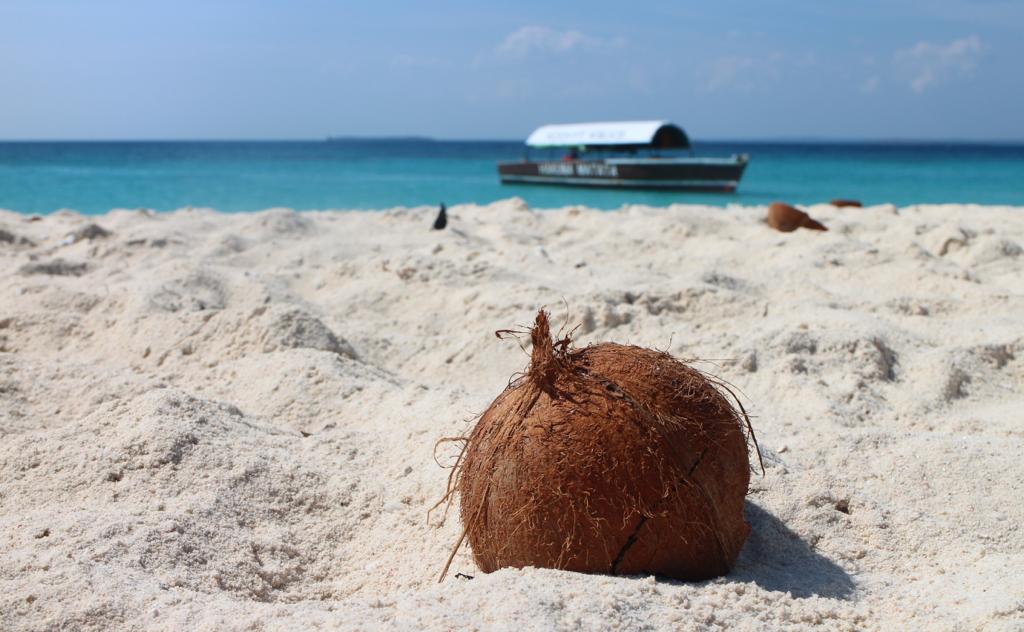 Kenya Beach Activities & Water Sports